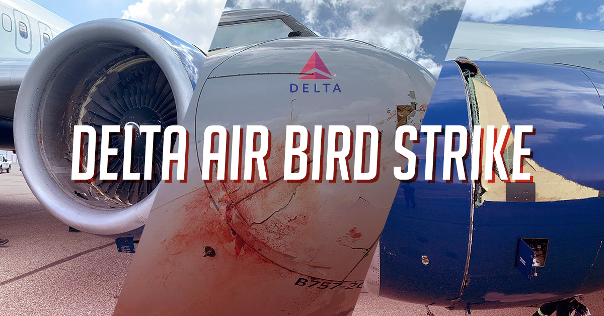You are currently viewing Flock of Birds Leads to Delta 757 Diversion carrying Utah Jazz