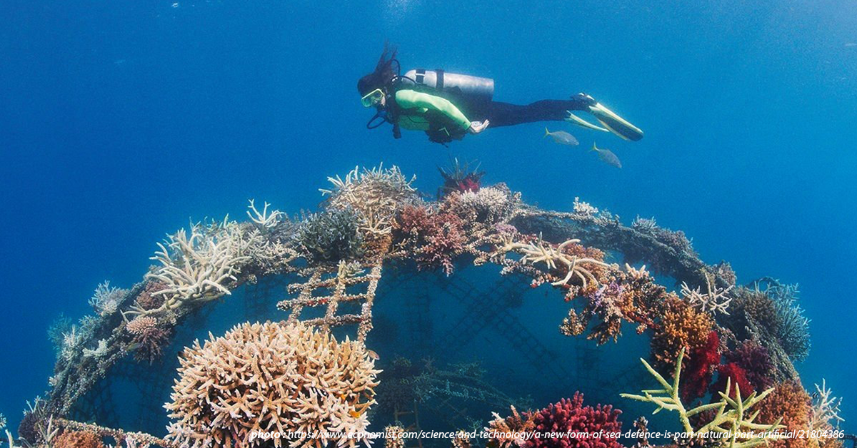 A Hope for the Reefs: Coral Reef Restoration Projects in SEA